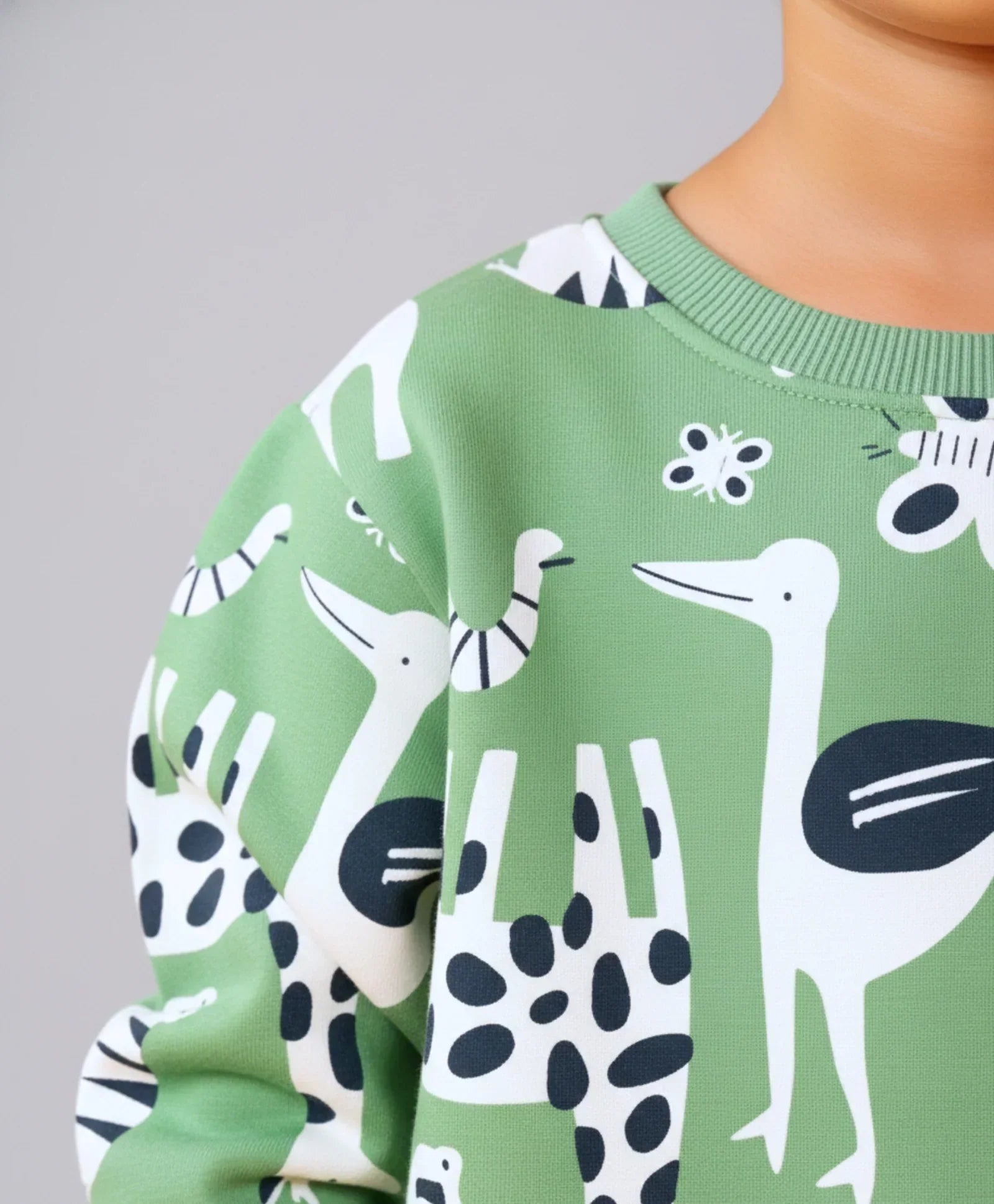 ANIMAL GREEN FLEECE BOYS SWEATSHIRT JOGGER SET - GREEN
