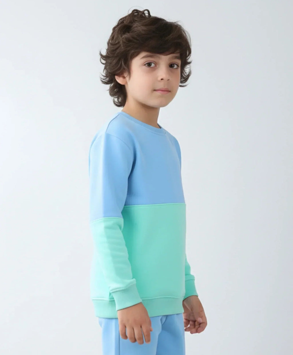 BLUE GREEN COLOR BLOCK BOYS FLEECE SWEATSHIRT - BLUE/GREEN