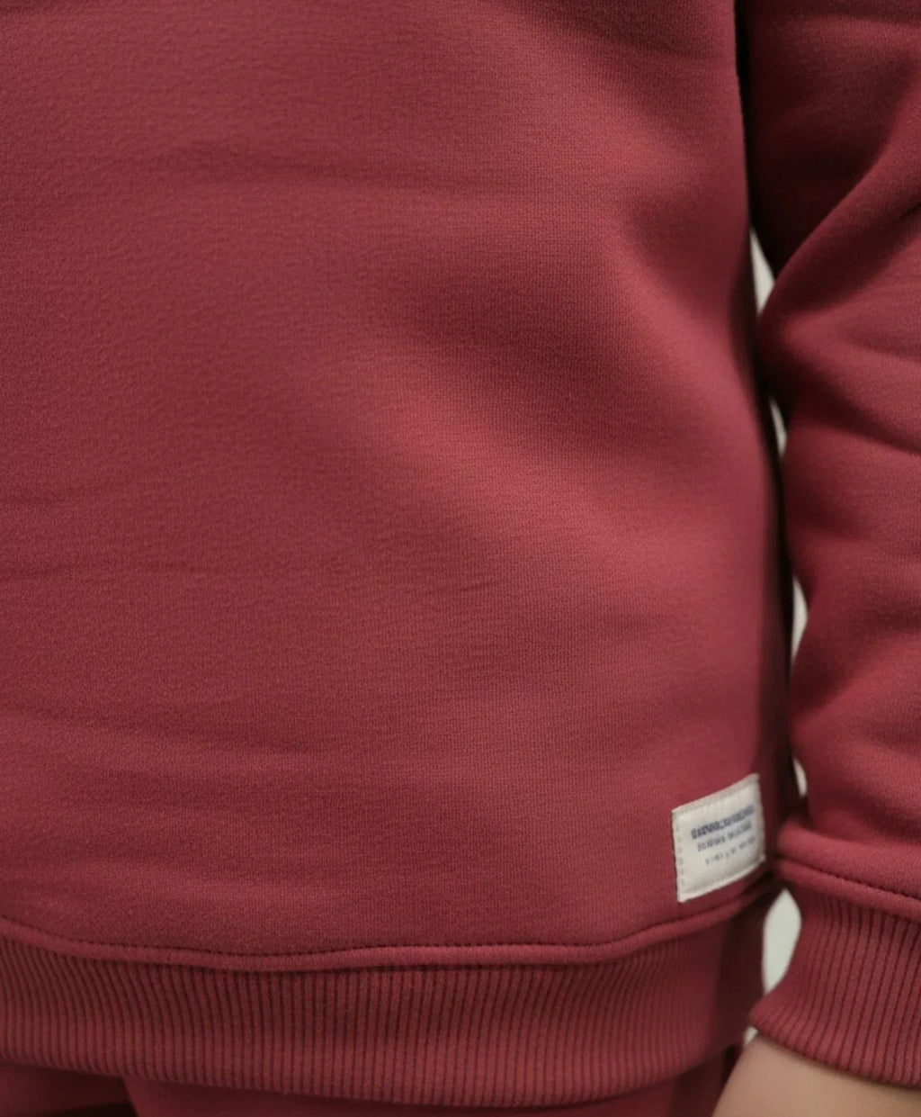 BEYOND BASIC BOYS FLEECE SWEATSHIRT - WINE