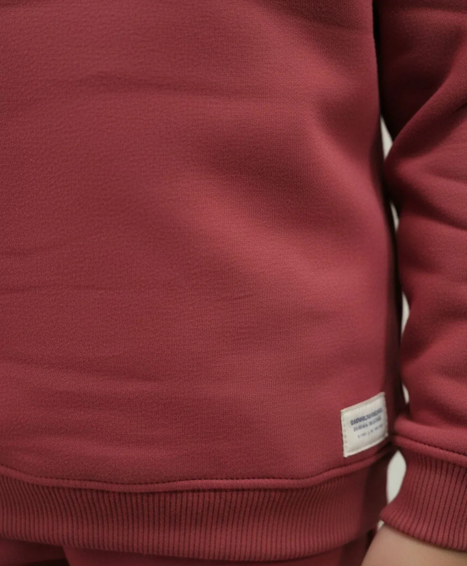 BEYOND BASIC BOYS FLEECE SWEATSHIRT - WINE