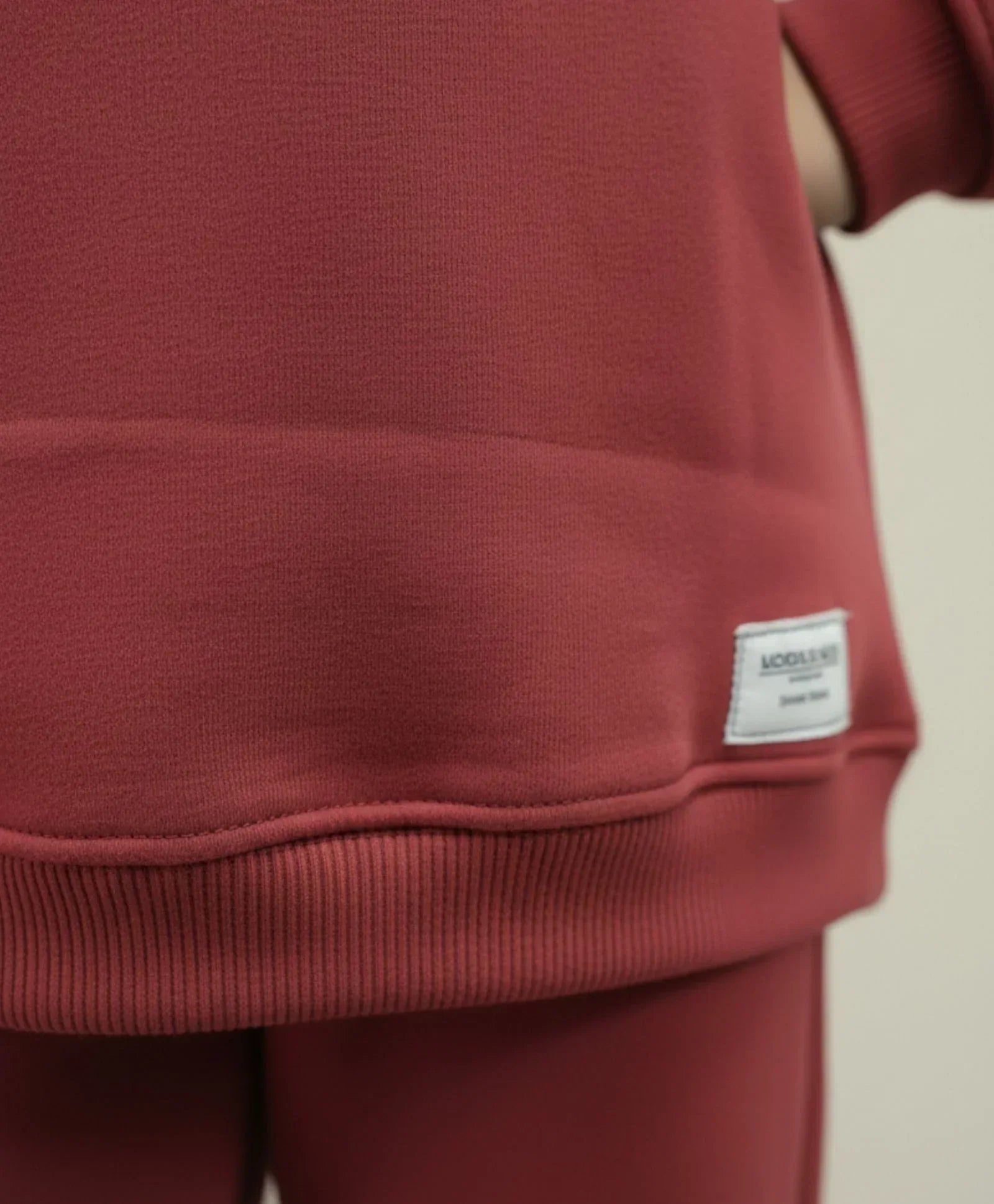BEYOND BASIC GIRLS FLEECE HOODIE - WINE