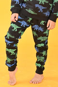 DINOSAUR BOYS BLACK JOGGER (FLEECE)